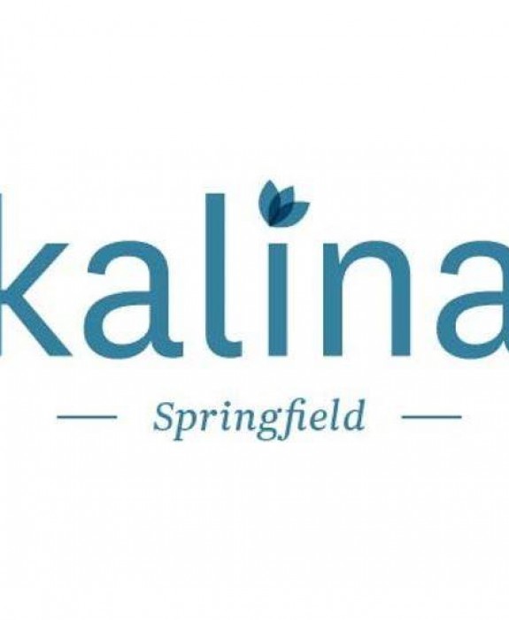 Kalina Springfield, Springfield, 4300